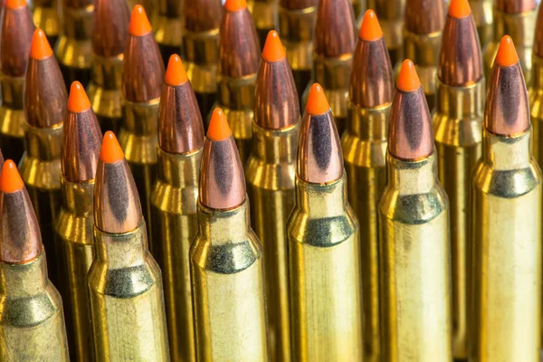 Ammo bullet up — Stock Photo, Image