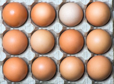 tavuk yumurtası içinde belgili tanımlık tepsi