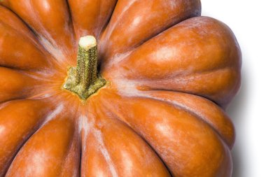 Beyaz arka plan üzerinde kabaklar parçası