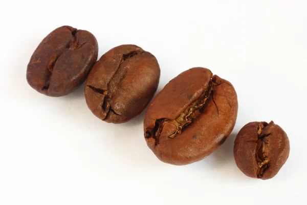 Kahve çekirdeği