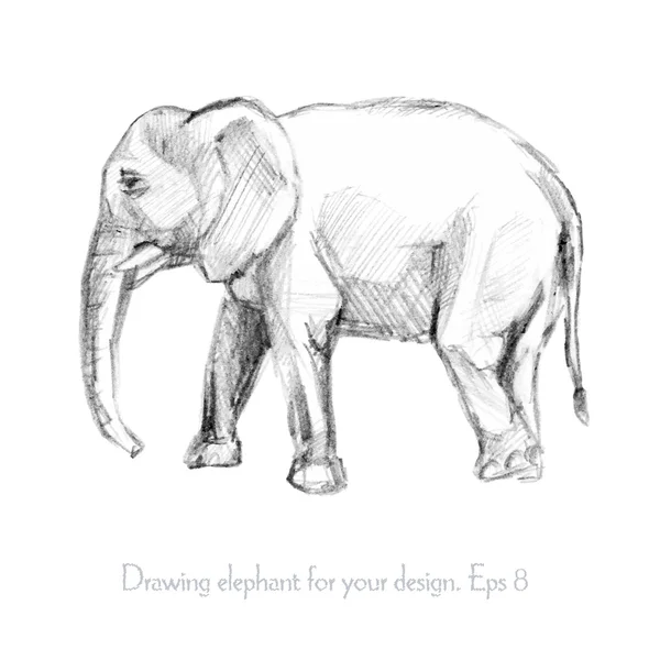 Dibujo a lápiz de un elefante — Vector de stock