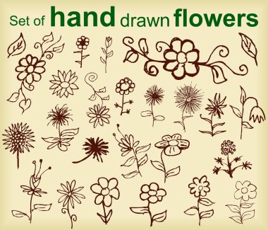 El çizmek çiçekleri kümesi