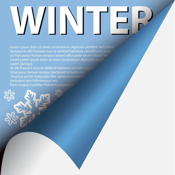 Blue winter card — Stock Vector