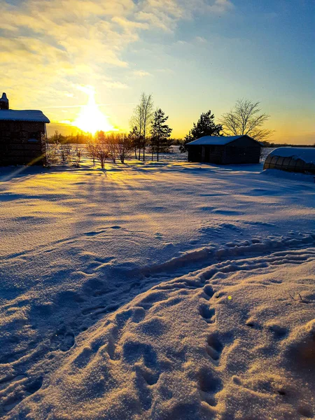 Ağaçların ve evlerin üzerinde güzel bir gün batımı