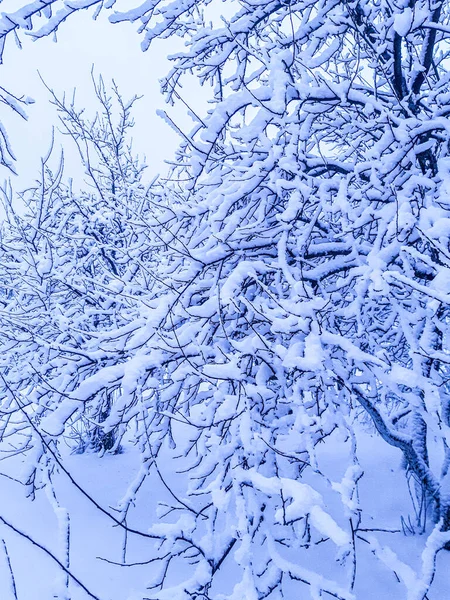 Karlı kış günü. O kadar çok kar var ki yürümesi bile zor.