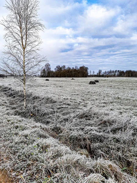 Frost sahaya iniyor.