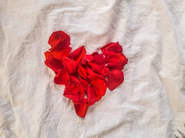 Kırmızı gül kalbi Sevgililer Günü için en iyisidir.