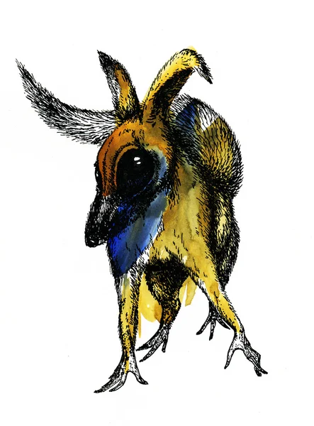 Hayvan.