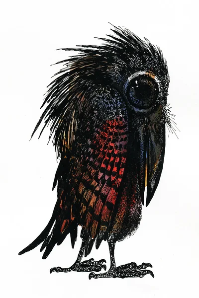 Bird — Stock Photo, Image