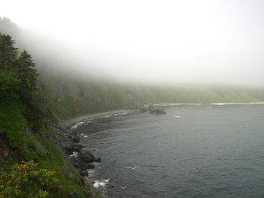 Sisli kıyı şeridi