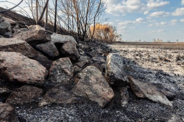 Yanmış ağaçlar, kayalar ve kül kaplı çöl arazisi.