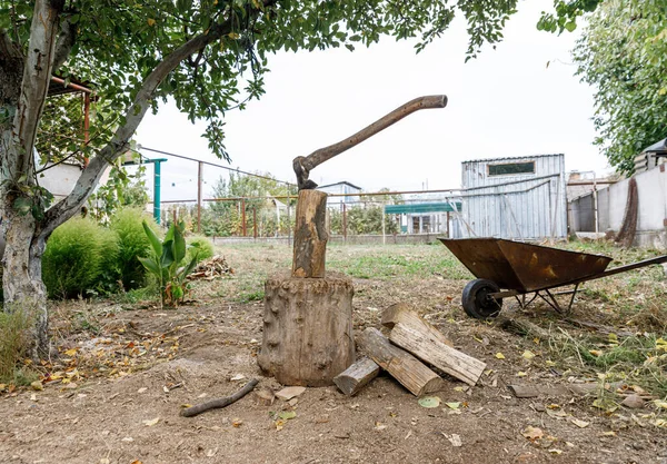 Balta arka bahçedeki kütüğe sıkışmış. Kesilmiş odun kütüğün yanında duruyor..