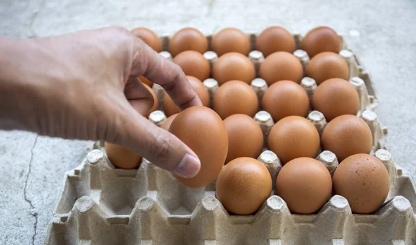 Eggs group, Chicken eggs in carton box