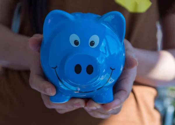 piggy bank in hand, Piggy save money