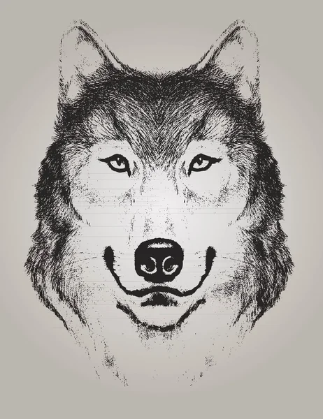 Szkic twarz Wilk na białym tle — Wektor stockowy