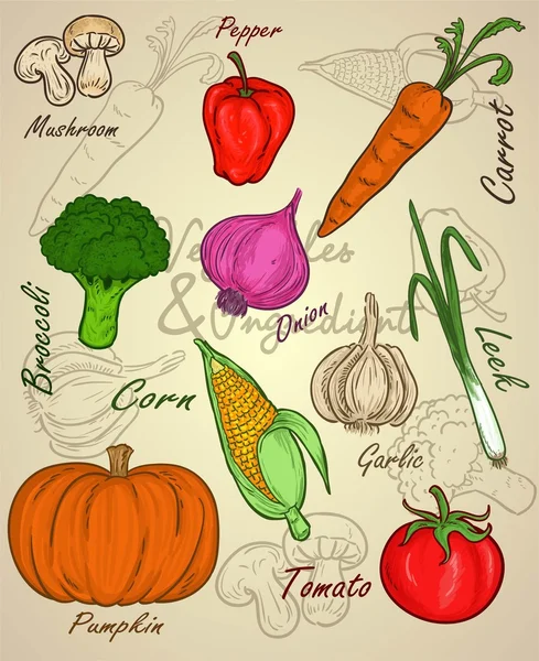 Овощи с акварелью или вектором каракулей — стоковый вектор