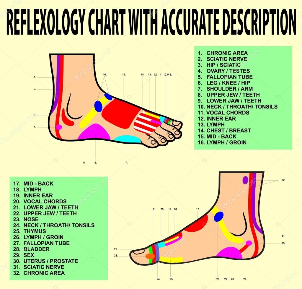 Foot Acupuncture Chart