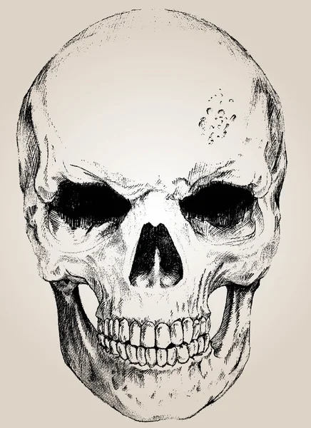 Vector skull with easy edited Stock Illustration