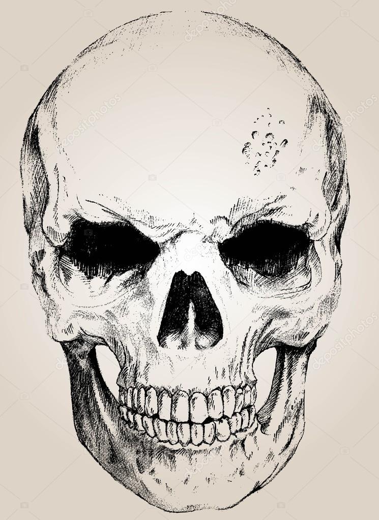 vector skull with easy edited