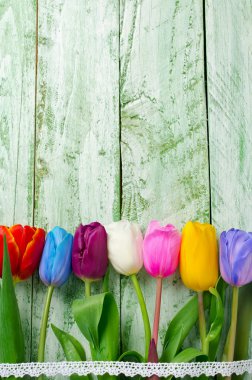 Eski püskü bir yeşil tabloda çeşitli renklerde laleler