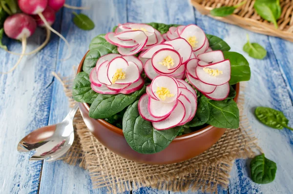 Ensalada de verduras Violeta sobre mesa de madera azul — Foto de Stock