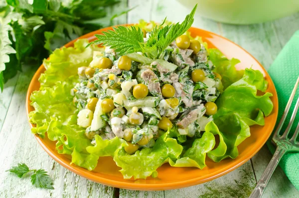 Salade fraîche légumes, boeuf et orties — Photo