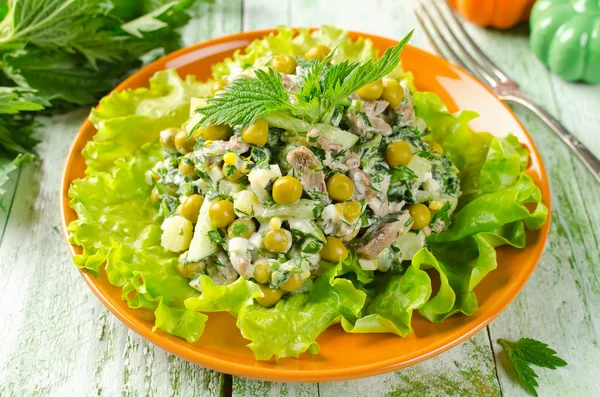 Salade fraîche légumes, boeuf et orties — Photo