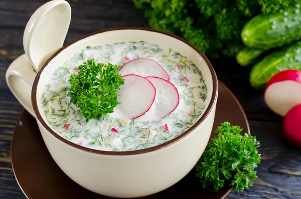 Русский весенний и летний холодный суп с кефиром — стоковое фото