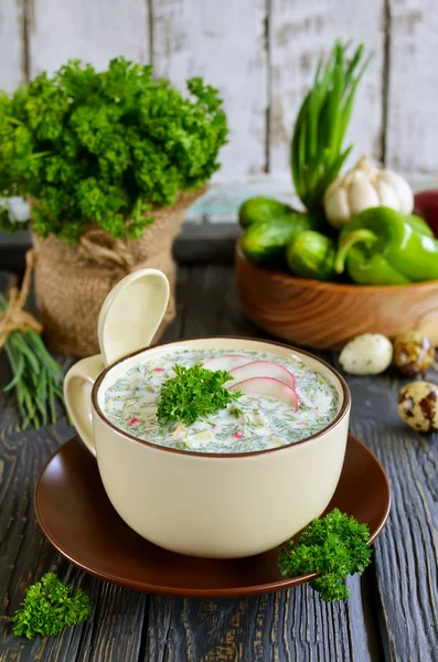 Sopa fria russa de primavera e verão com kefir — Fotografia de Stock