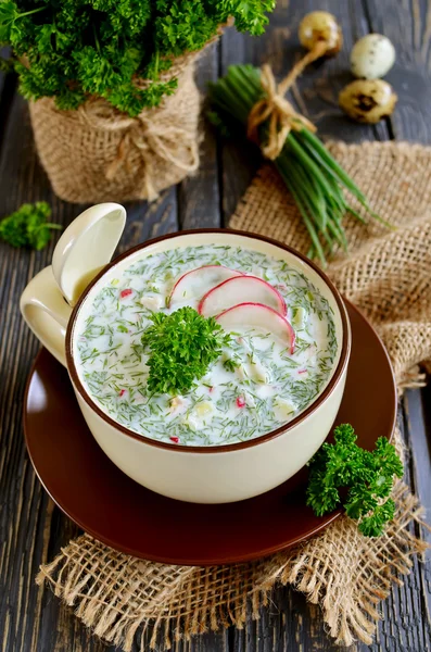 Sopa fría rusa de primavera y verano con kéfir — Foto de Stock