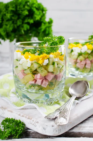 Sopa fría rusa de primavera y verano con kéfir — Foto de Stock