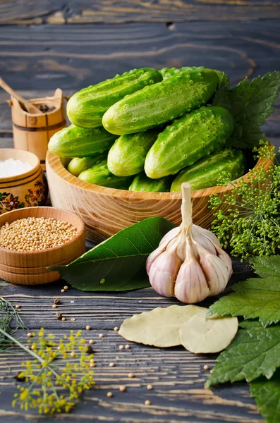 Fresh cucumbers and spices — Stock Photo, Image