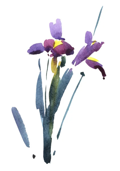 Akvarel, kresba květiny na bílém pozadí — Stockový vektor