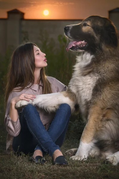 Portrait of a girl with a dog — Stock Photo, Image