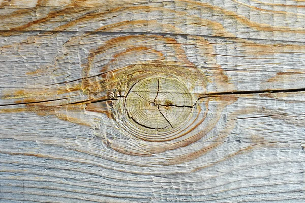 Textura de tablón de madera con nudo — Foto de Stock