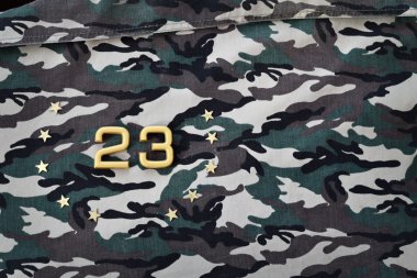23 Şubat. Anavatan gün savunucusu. Boş tebrik kartı.