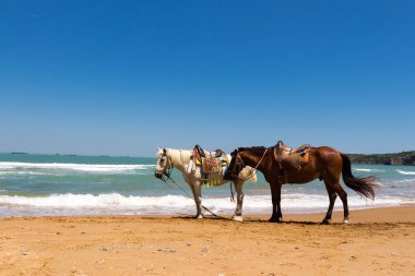 güzel ve gizemli Türkiye