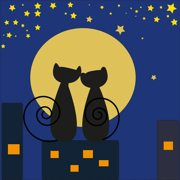 iki kedi aya arıyorsunuz