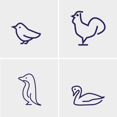 Dört kuş vektör ayarla