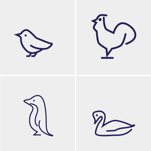 Dört kuş vektör ayarla