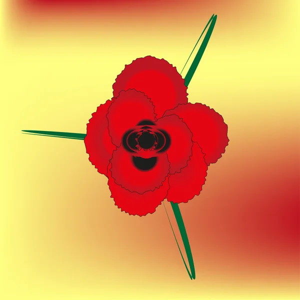 parlak kırmızı gül