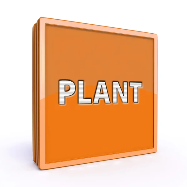 Növényi négyzet alakú ikon a fehér háttér — Stock Fotó