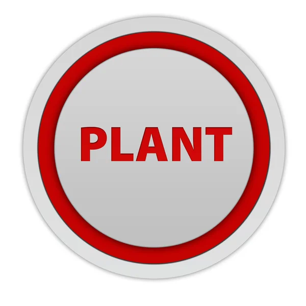 Növényi kör alakú ikon fehér háttér — Stock Fotó