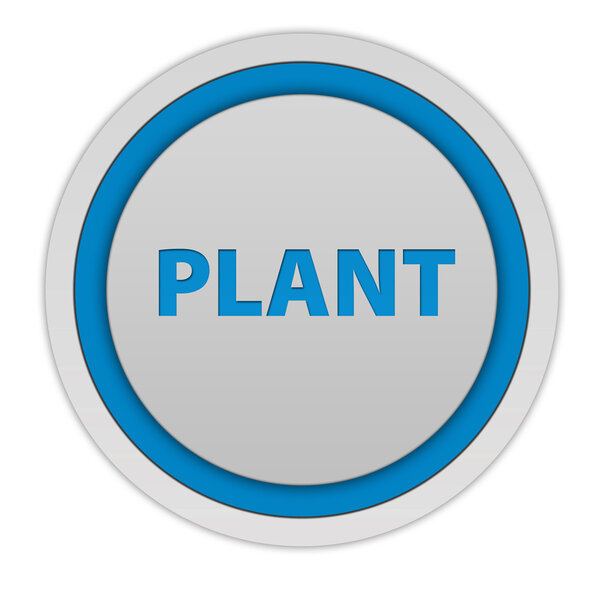 Plant circular icon on white background