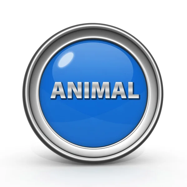 Djurens cirkulär ikonen på vit bakgrund — Stockfoto