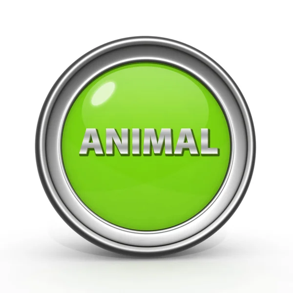 Ícone circular animal no fundo branco — Fotografia de Stock