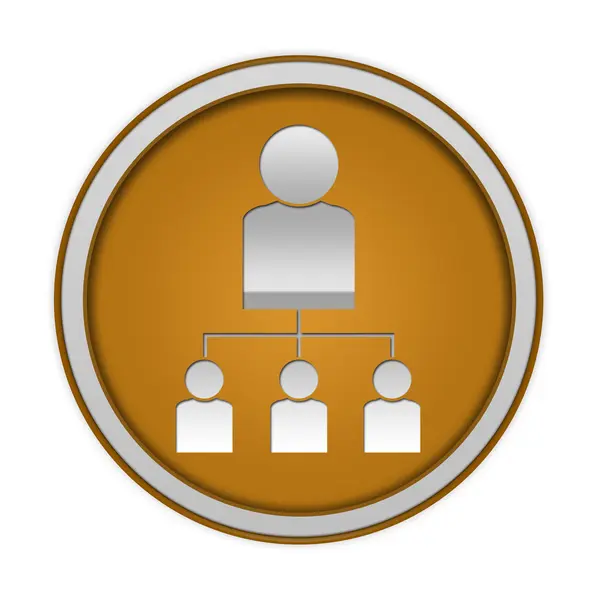 Hierarquia ícone circular no fundo branco — Fotografia de Stock