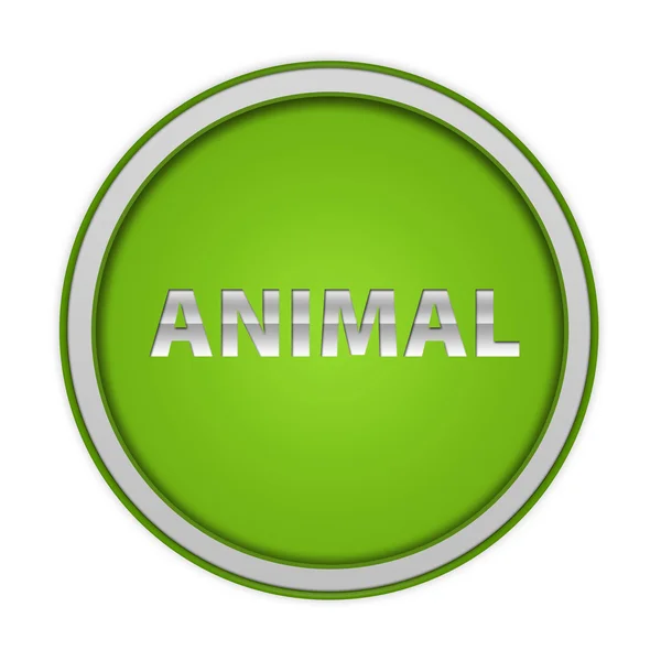 Animal circular icon on white background — Stock Photo, Image