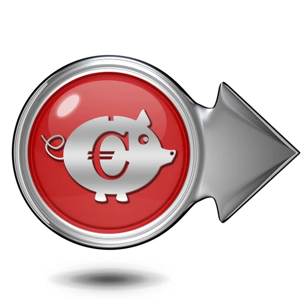 Euro porco ícone circular no fundo branco — Fotografia de Stock