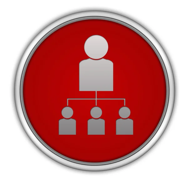 Hierarquia ícone circular no fundo branco — Fotografia de Stock